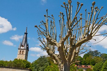 agence matrimoniale Meximieux