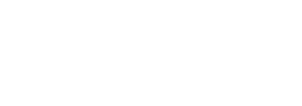 logo fidelio